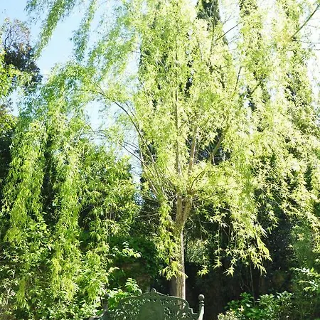 Mas Du Perthus 4* Cassis