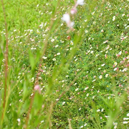 Bed & Breakfast Mas Du Perthus Cassis