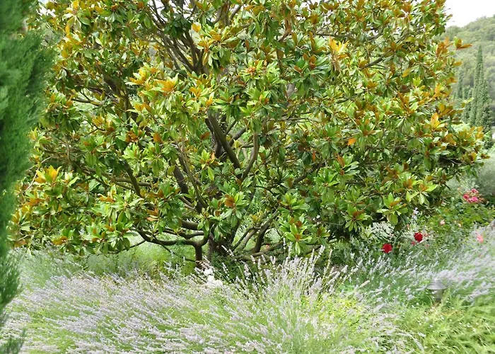 Oda ve Kahvaltı Mas Du Perthus Cassis