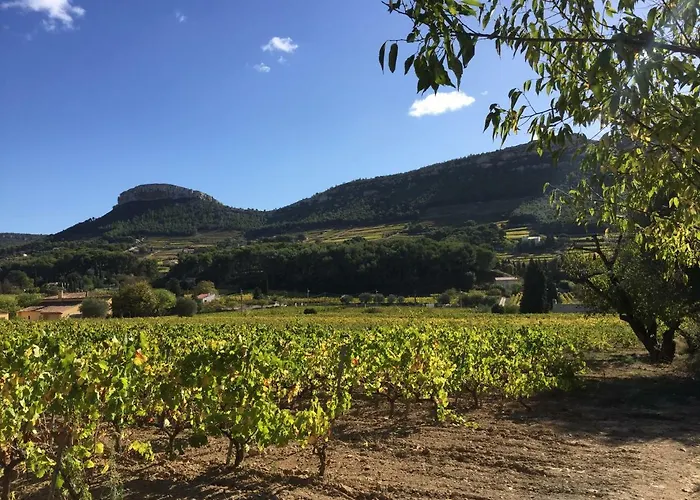 Oda ve Kahvaltı Mas Du Perthus