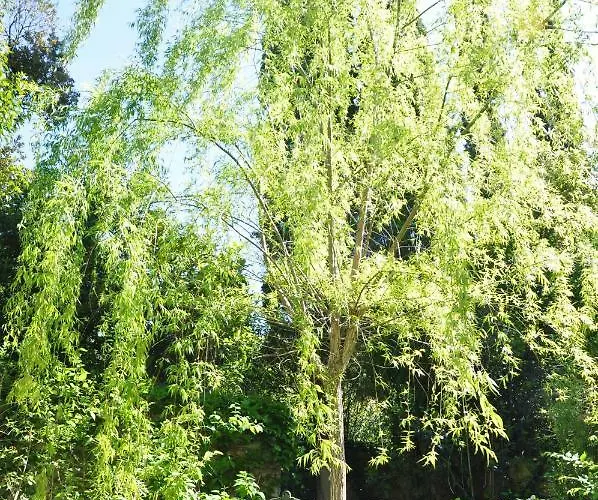 Mas Du Perthus 4* Cassis