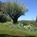 Bed & Breakfast Mas Du Perthus