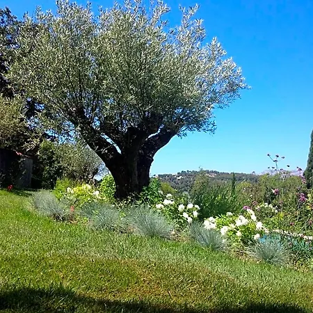 Bed & Breakfast Mas Du Perthus Cassis