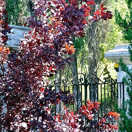 Mas Du Perthus Bed & Breakfast