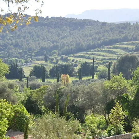 Mas Du Perthus Bed and Breakfast