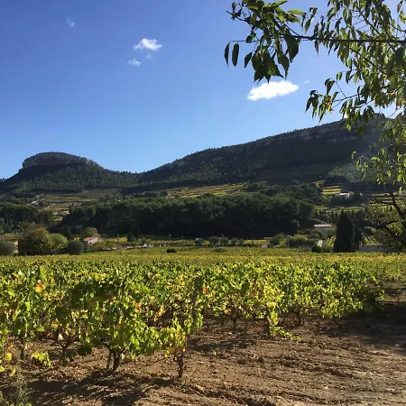 לינה וארוחת בוקר Mas Du Perthus